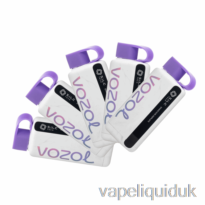 [5-Pack] VOZOL STAR 9000 Disposable Vape Juice